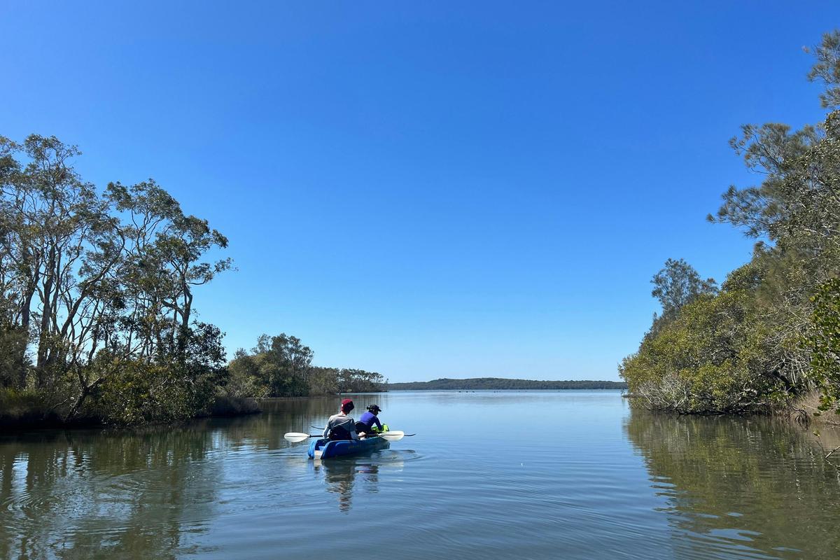 Noosa Stingrays & Everglades Guided Kayak Tour