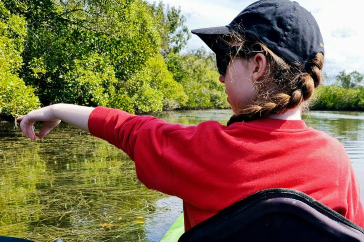 Noosa Stingrays & Everglades Guided Kayak Tour