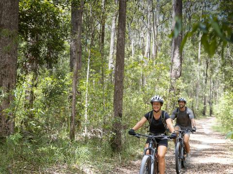 Guided Noosa Electric Mountain Bike Tour – Tewantin National Park