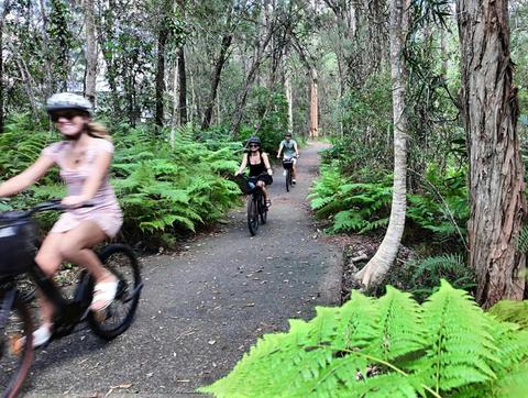E-Bike Tour Summit to Sea - Mt Tinbeerwah to Noosa