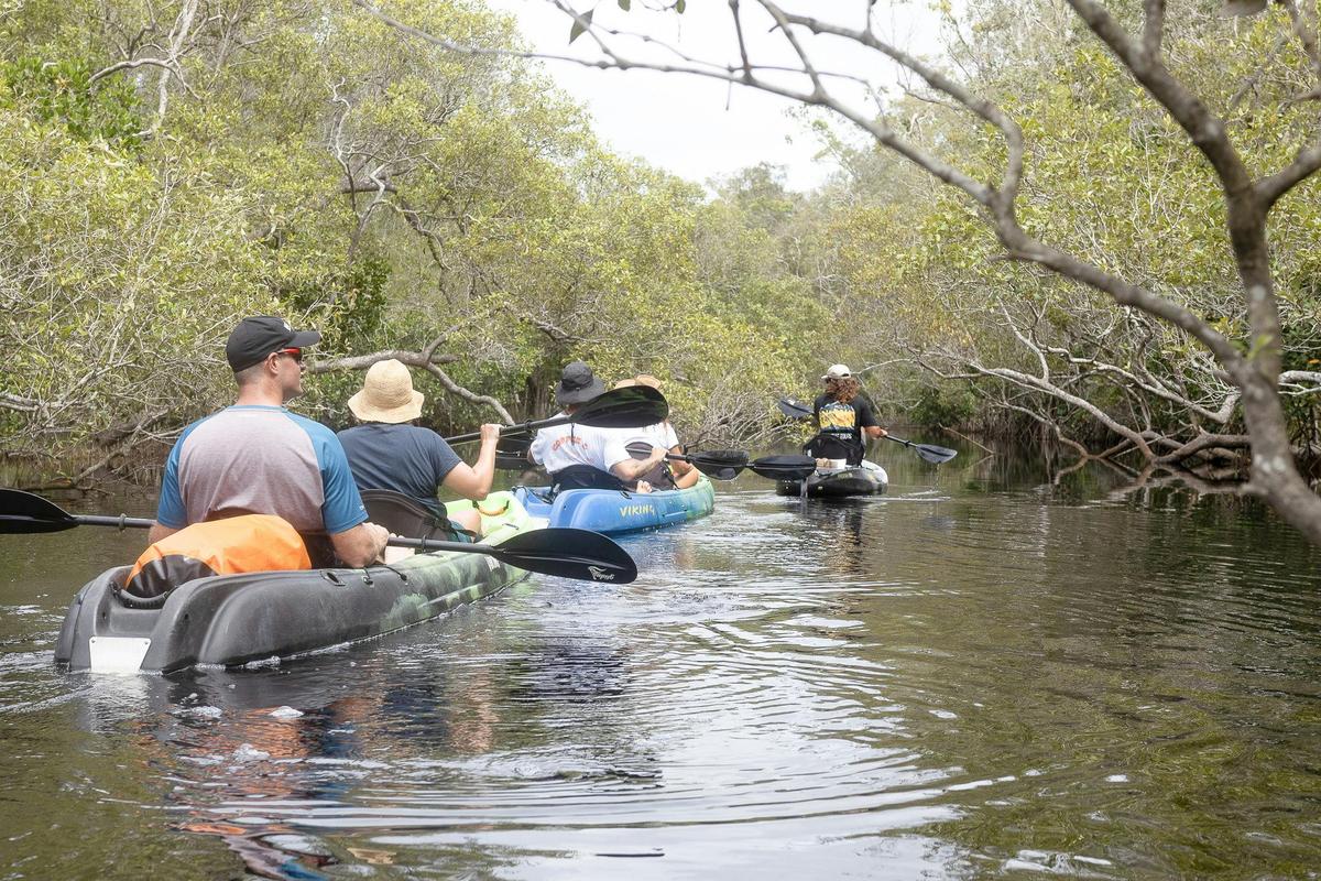 Noosa Stingrays & Everglades Guided Kayak Tour
