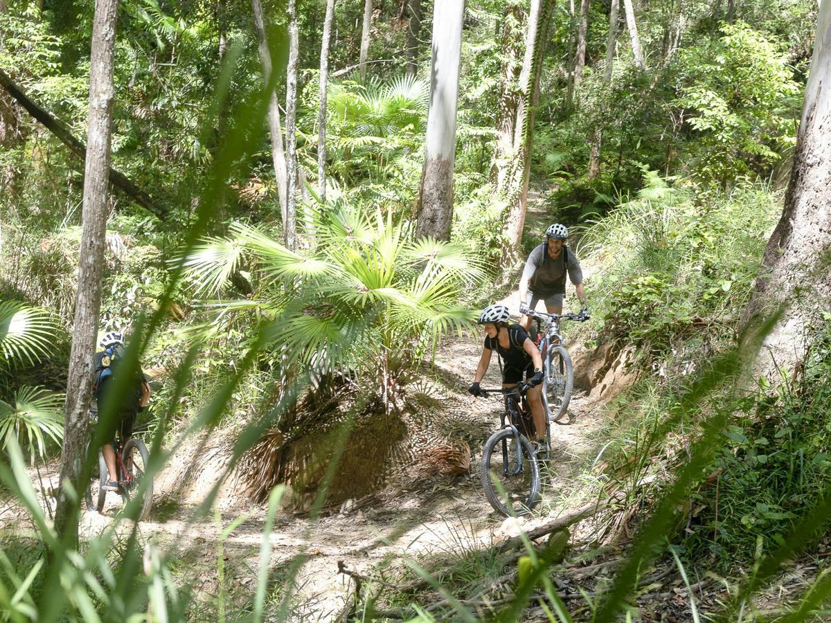 Guided Noosa Electric Mountain Bike Tour – Tewantin National Park