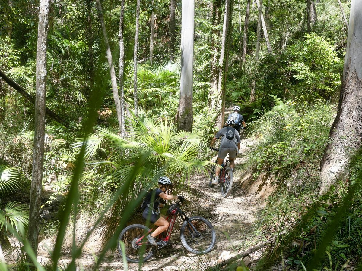 Guided Noosa Electric Mountain Bike Tour – Tewantin National Park