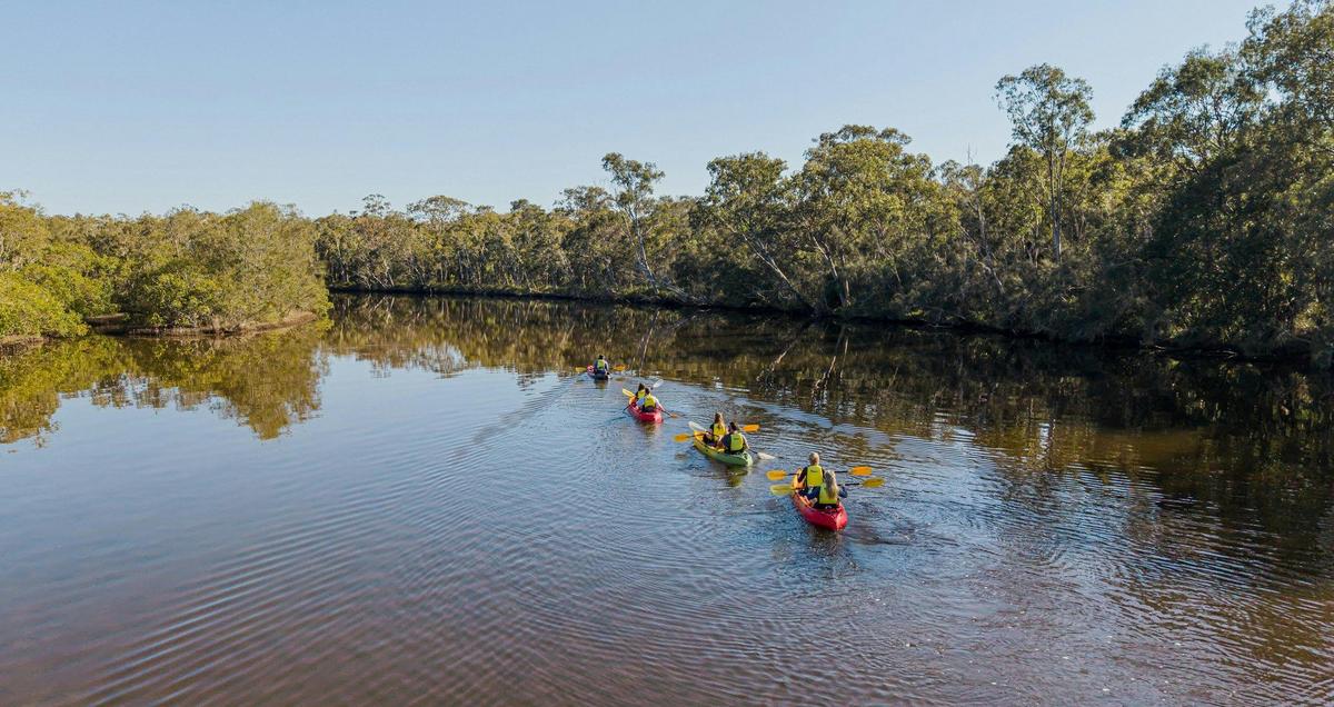 Southern Everglades Kayak Tour