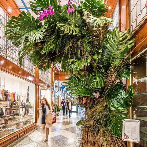 Brisbane Arcade