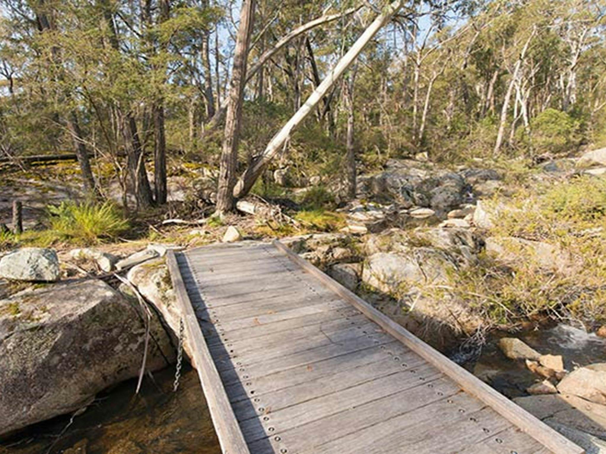 Myanba Gorge lookout, South East Forest National Park. Photo credit: John Spencer &copy; DPIE