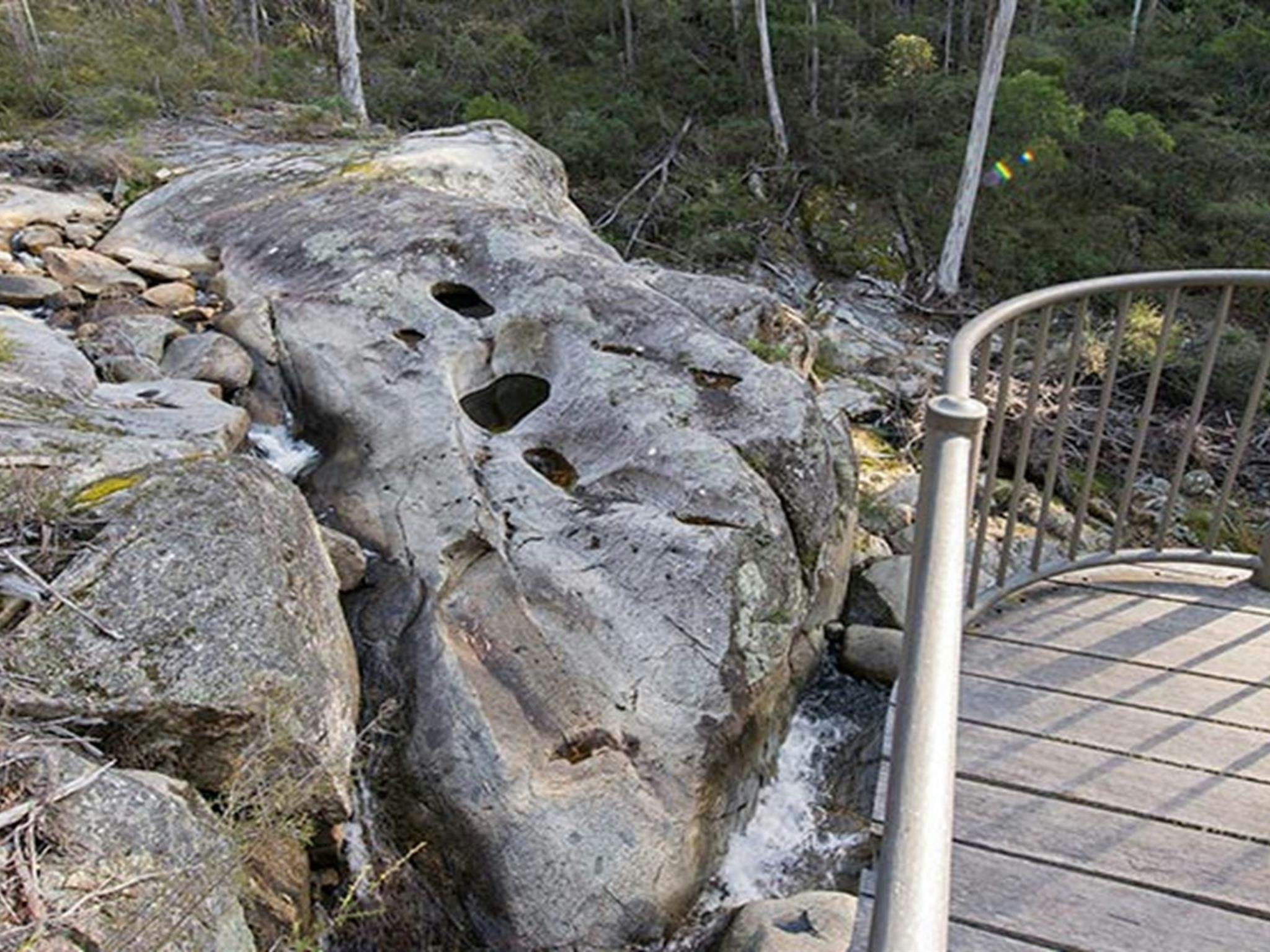 Myanba Gorge lookout, South East Forest National Park. Photo credit: John Spencer &copy; DPIE