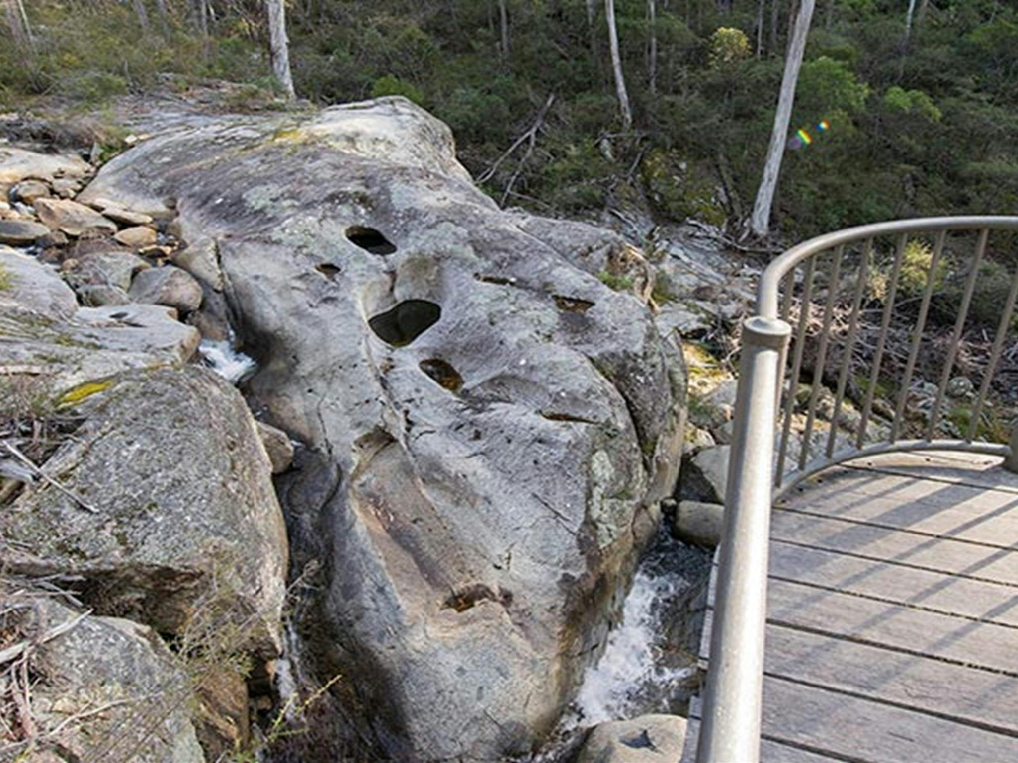 Myanba Gorge lookout, South East Forest National Park. Photo credit: John Spencer &copy; DPIE