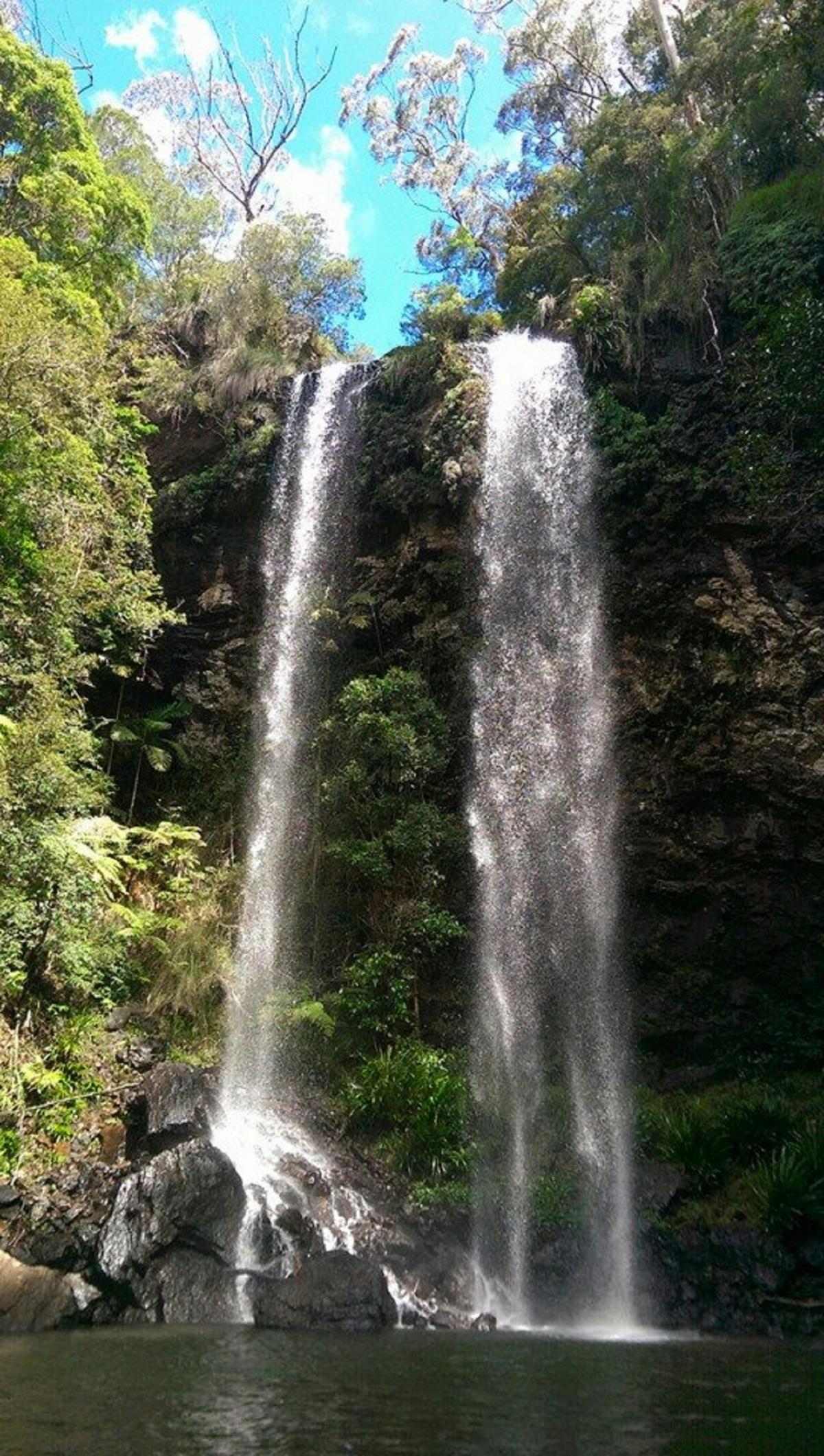 Springbrook and Tamborine Rainforest Glow Worm Tour