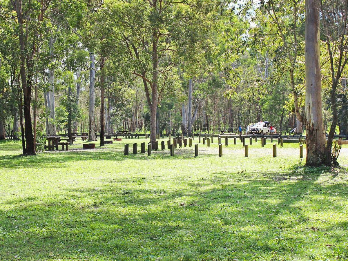 Grassy, shaded sites await you at Poverty Creek camping area.