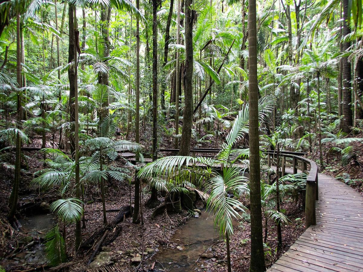 D'Aguilar National Park