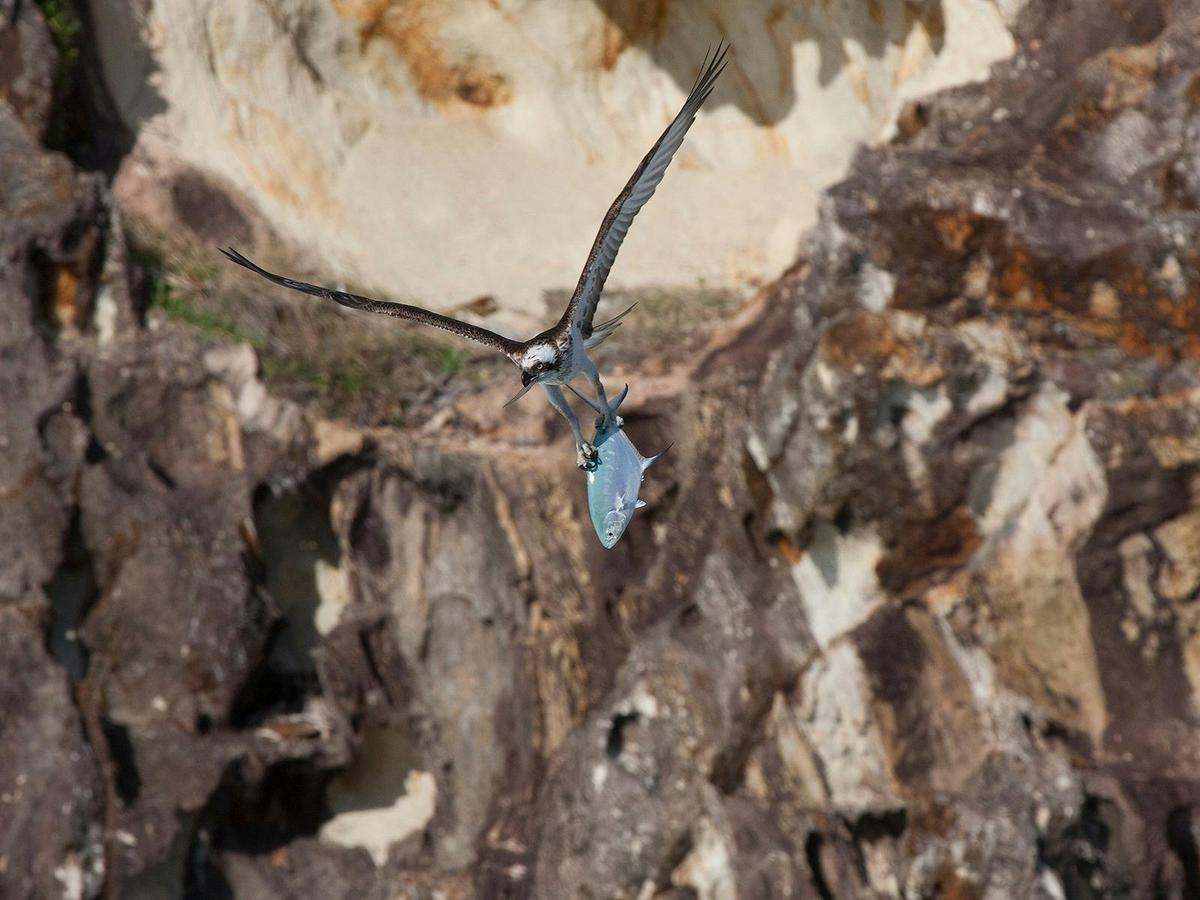 North Stradbroke Island Tour