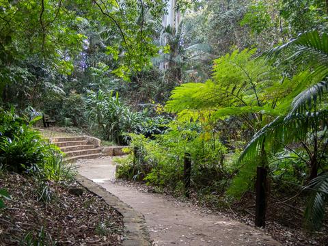 Maiala Rainforest Tour
