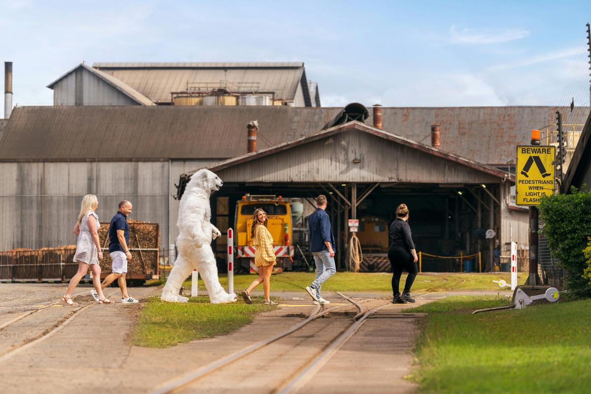 Distillery Experience  - Our Backyard