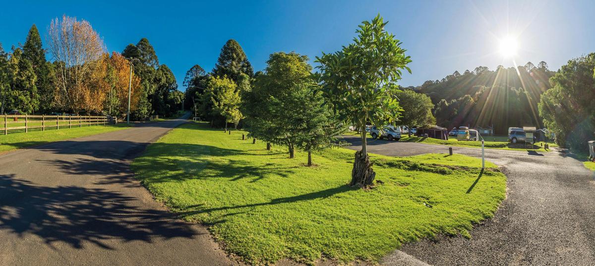 Camping area, Bunya Mountains