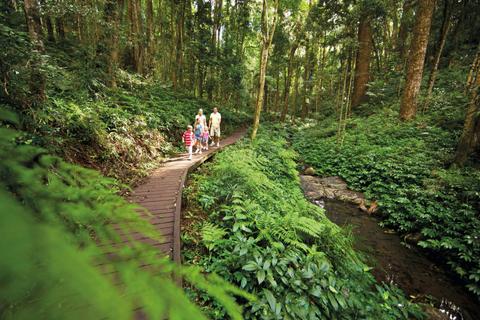 Bunya Mountains