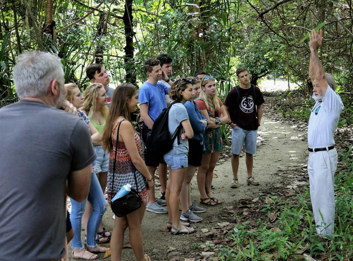 Guided Rainforest Walk at C4 Environment Centre, Mission Beach
