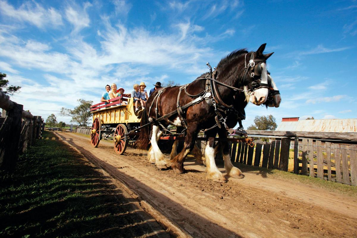 Jondaryan Woolshed