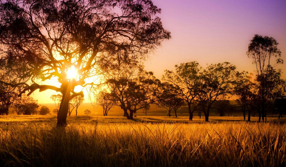 Sunset, Darling Downs