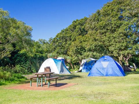 Bunya Mountains National Park Camping