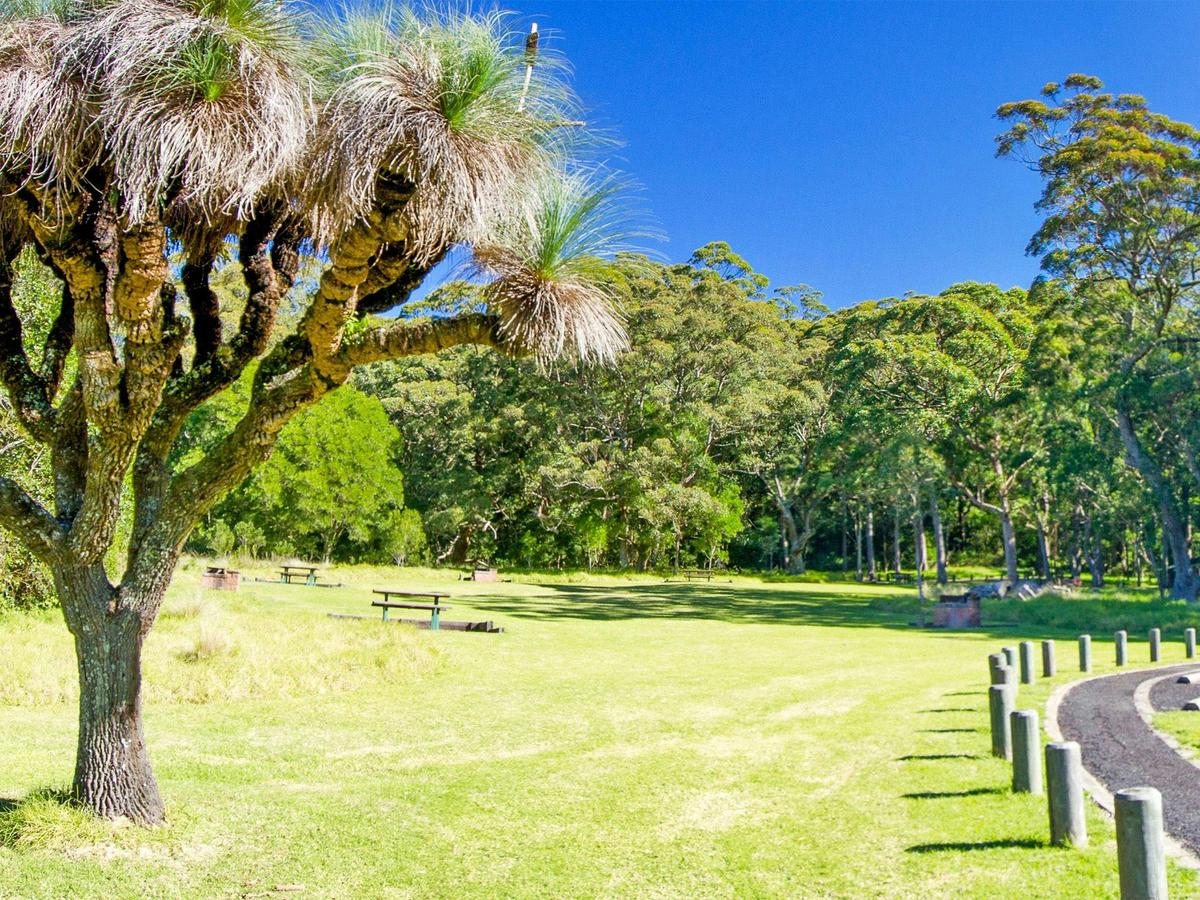 Picnic area with grasstree, wooden tables, grassy field, and forest in background under blue sky