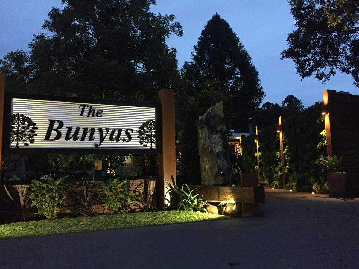 Welcome to The Bunyas