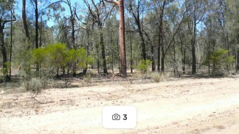 Bush Haven