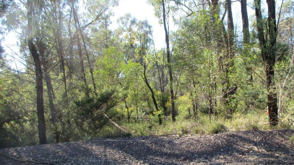 Bush Haven