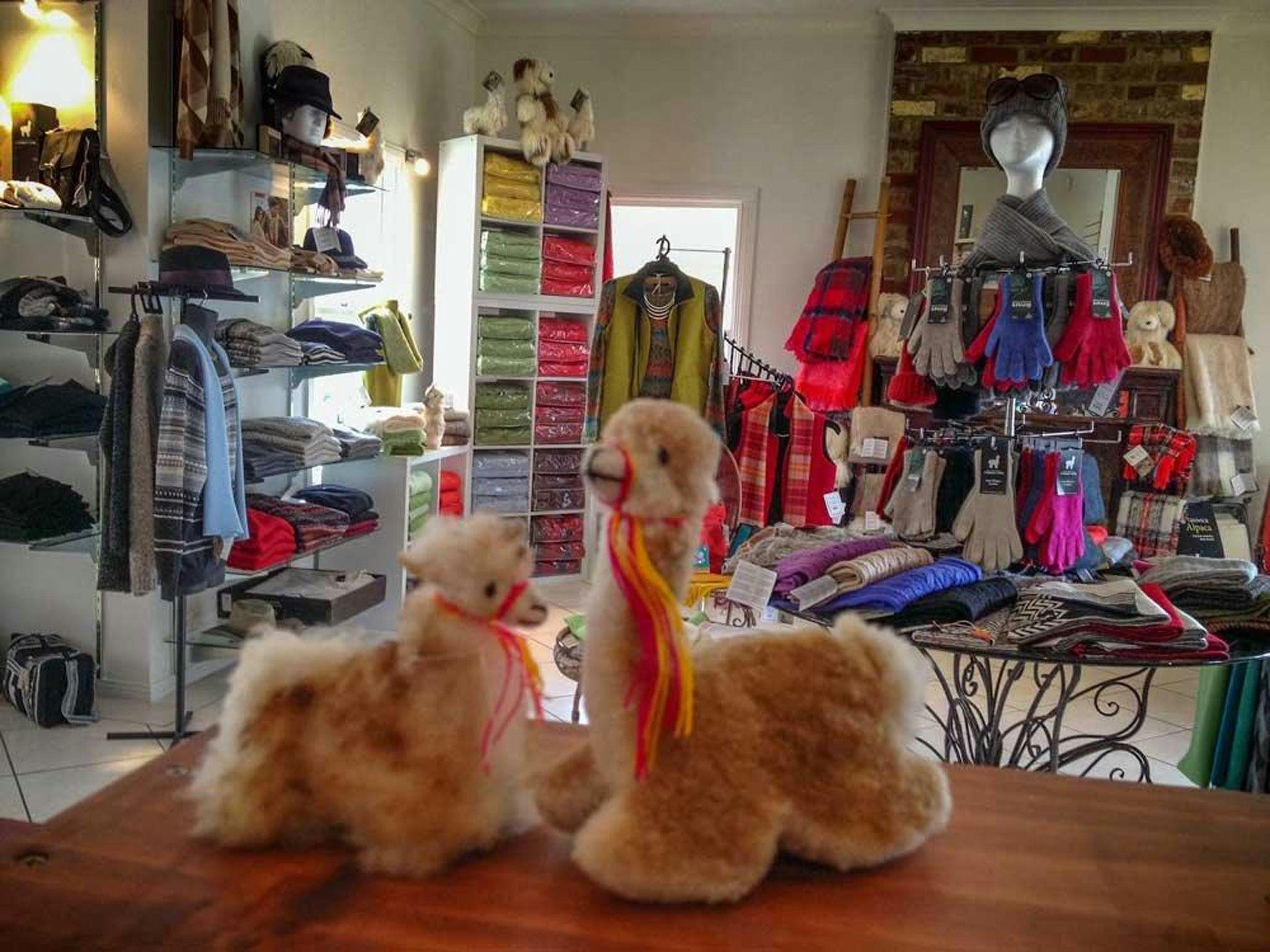 Inside Australian Alpaca Barn Hunter Valley Gardens Store shore
