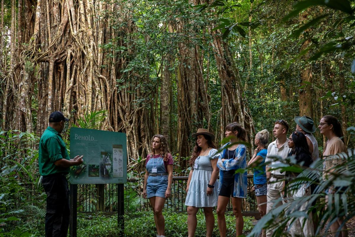Cairns & Atherton Tablelands Waterfalls Full Day Tour