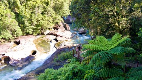 Cairns & Atherton Tablelands Waterfalls Full Day Tour