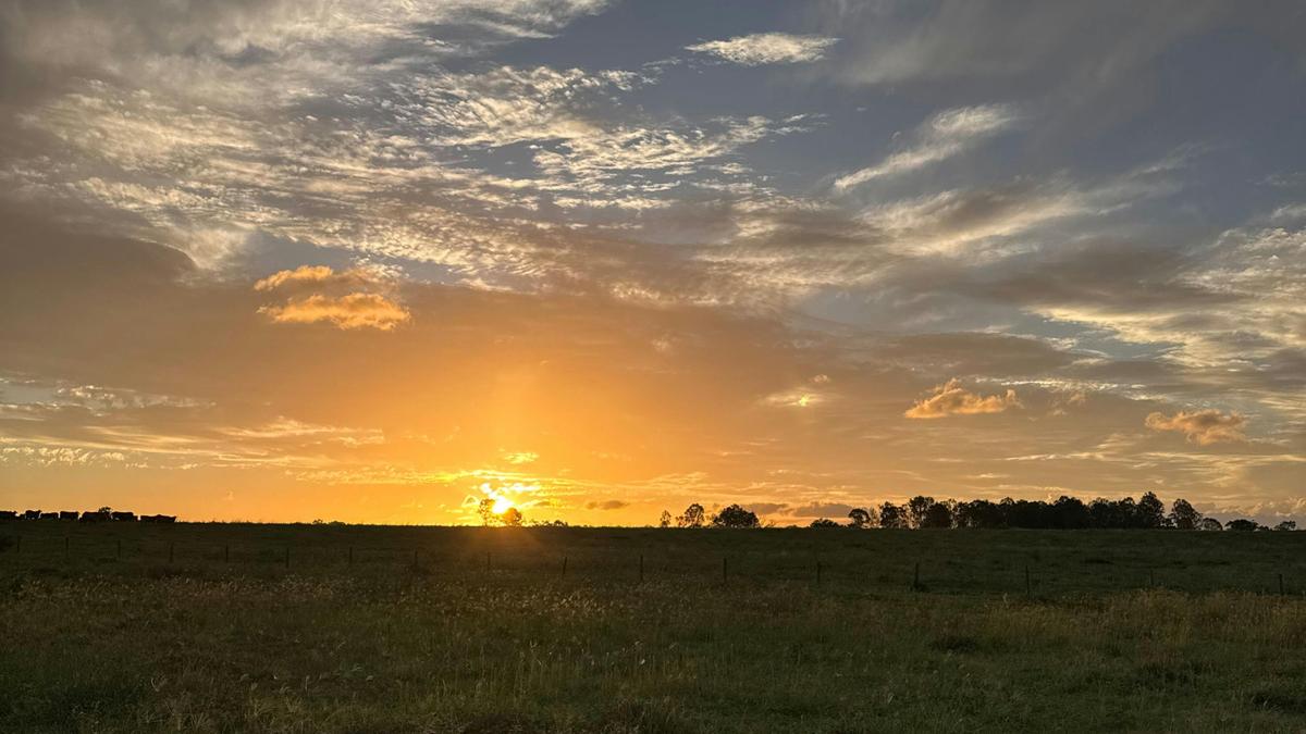 Cabbage Tree Creek Homestead