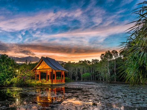 Cairns Botanic Gardens