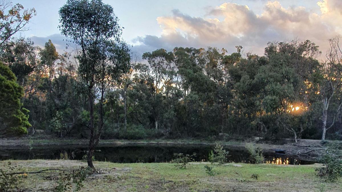 Bush Farm Camp by the Dam