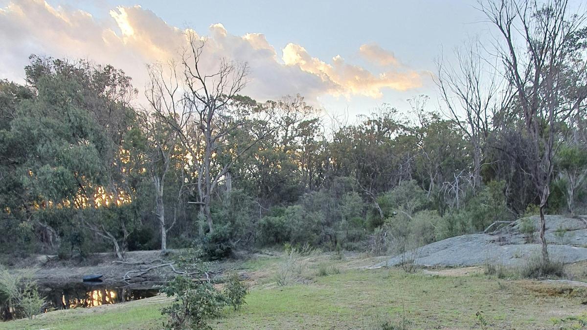 Bush Farm Camp by the Dam