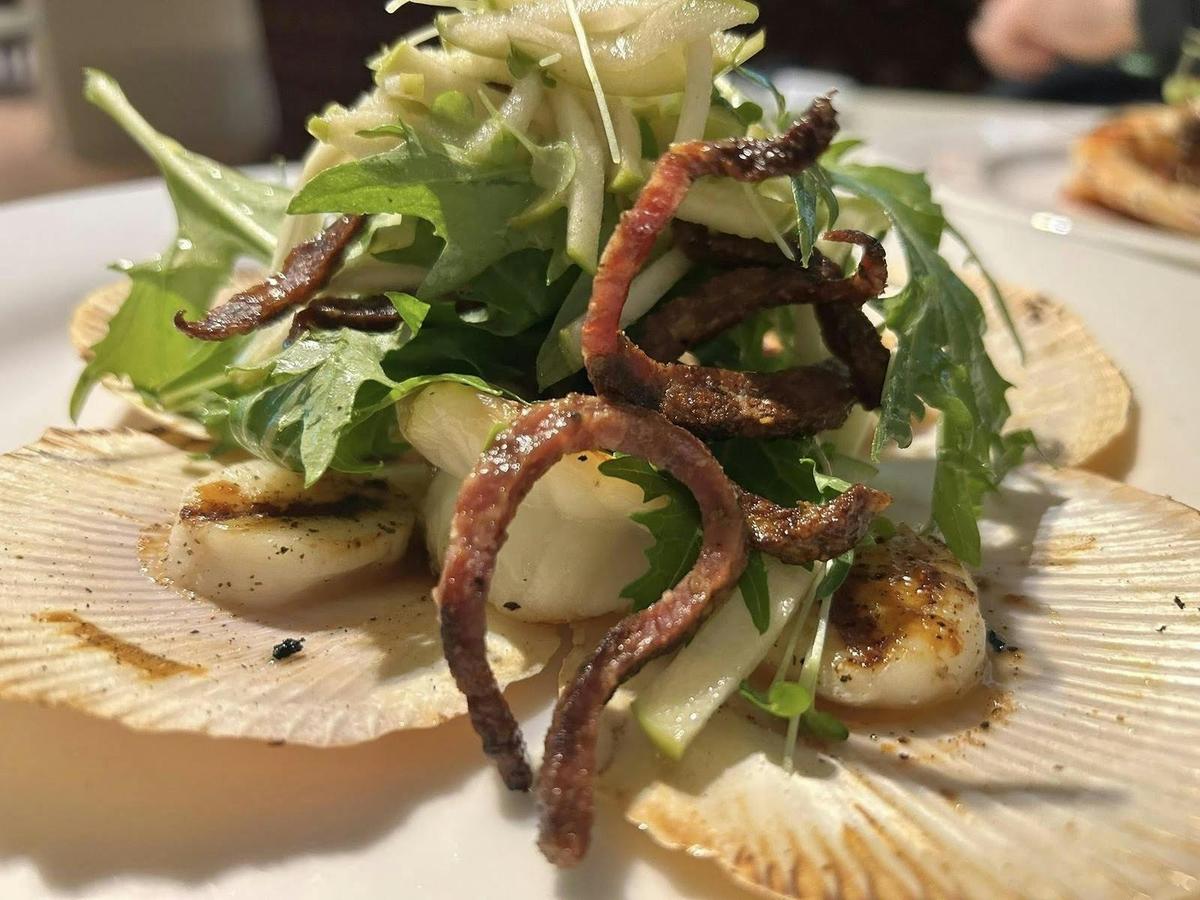Scallops