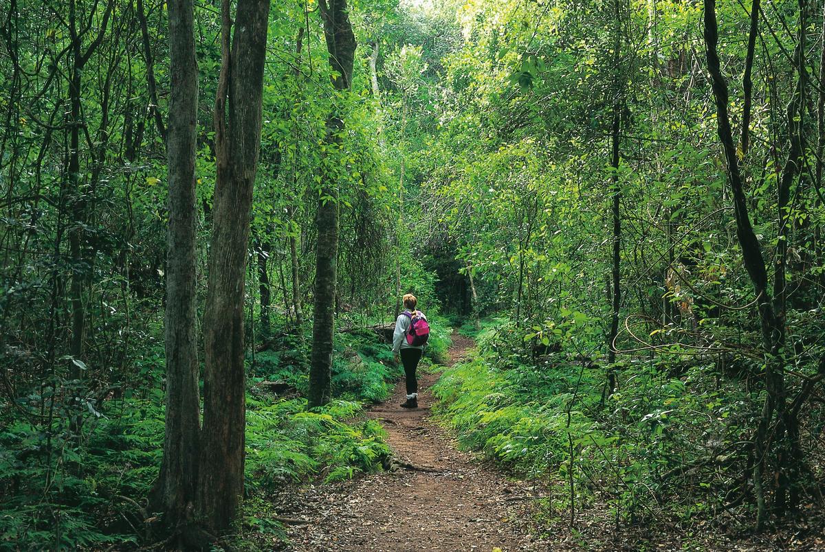Cania Gorge National Park