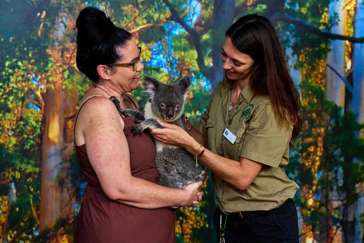 Cairns Holding Photo Experience at Cairns Koalas & Creatures in Cairns City.