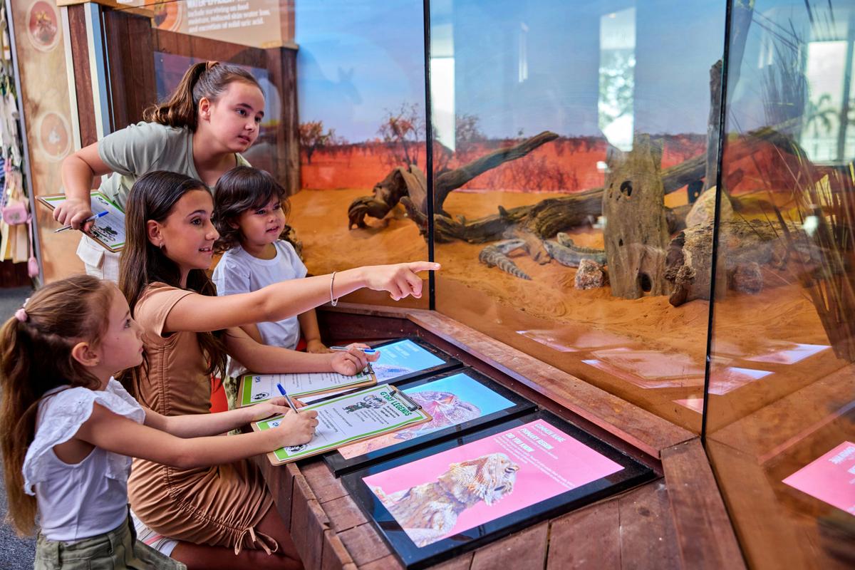 Children exploring the Outback exhibit at Cairns Koalas & Creatures.