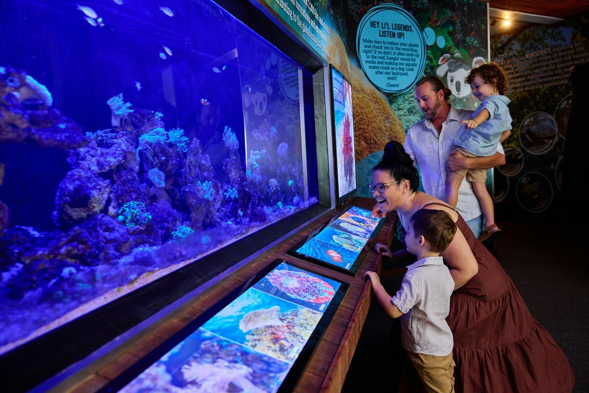 Family exploring the Great Barrier Reef tank at Cairns Koalas & Creatures in Cairns city.