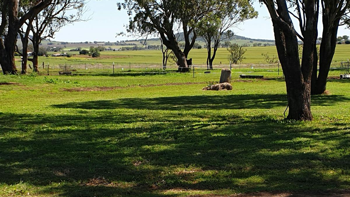 Carlisle Farm