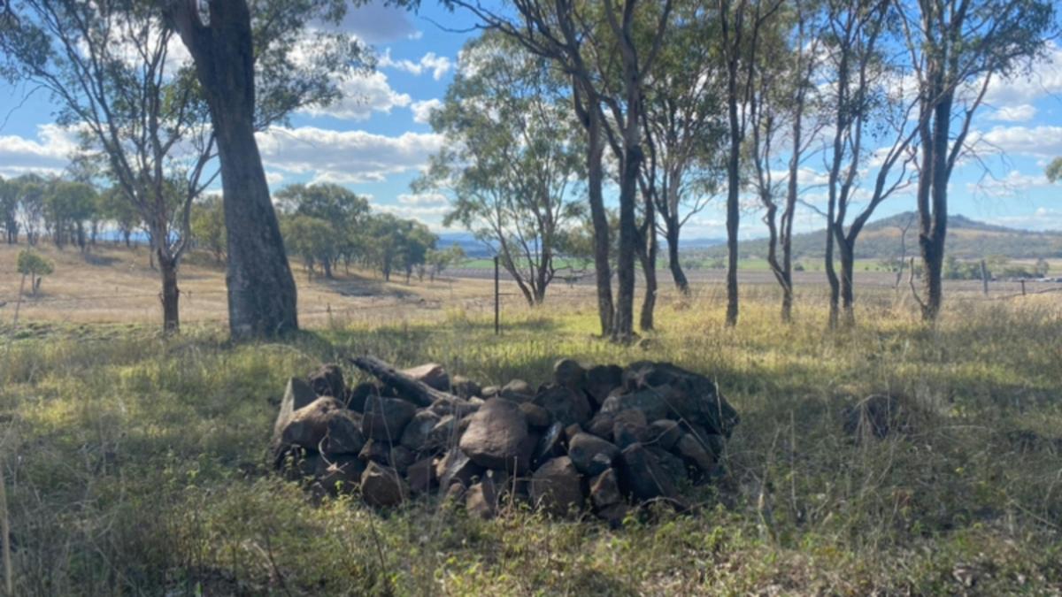 Bunya Mountains View
