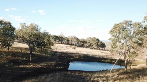 Bunya Mountains View