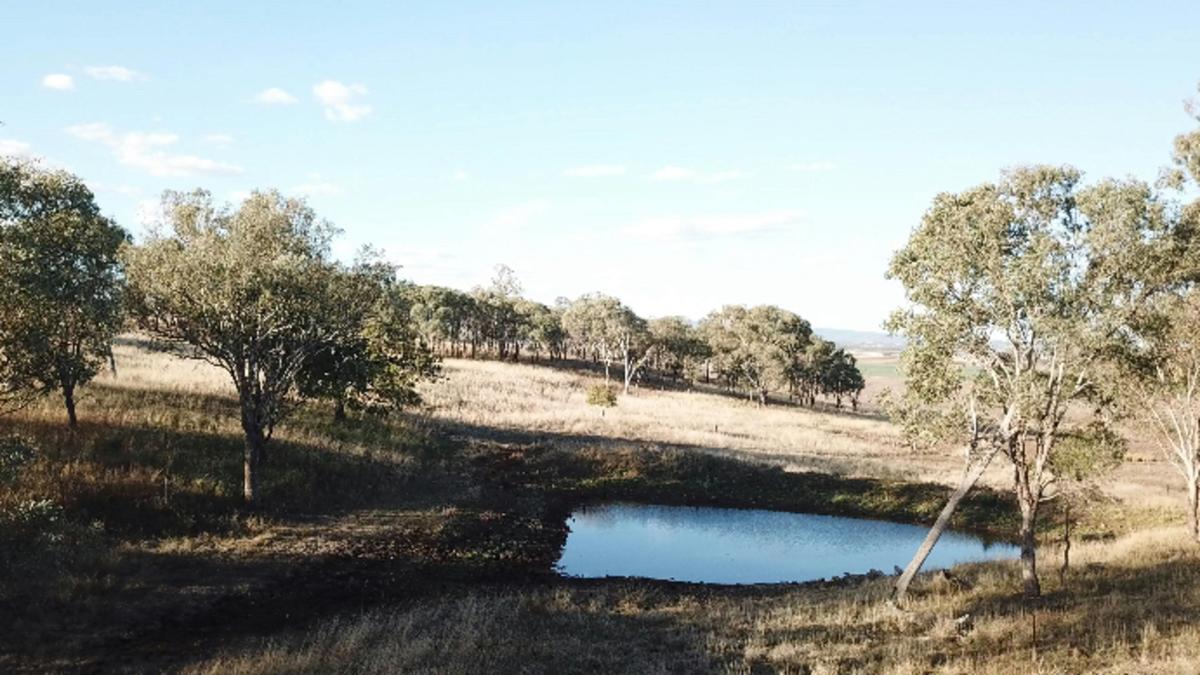 Bunya Mountains View