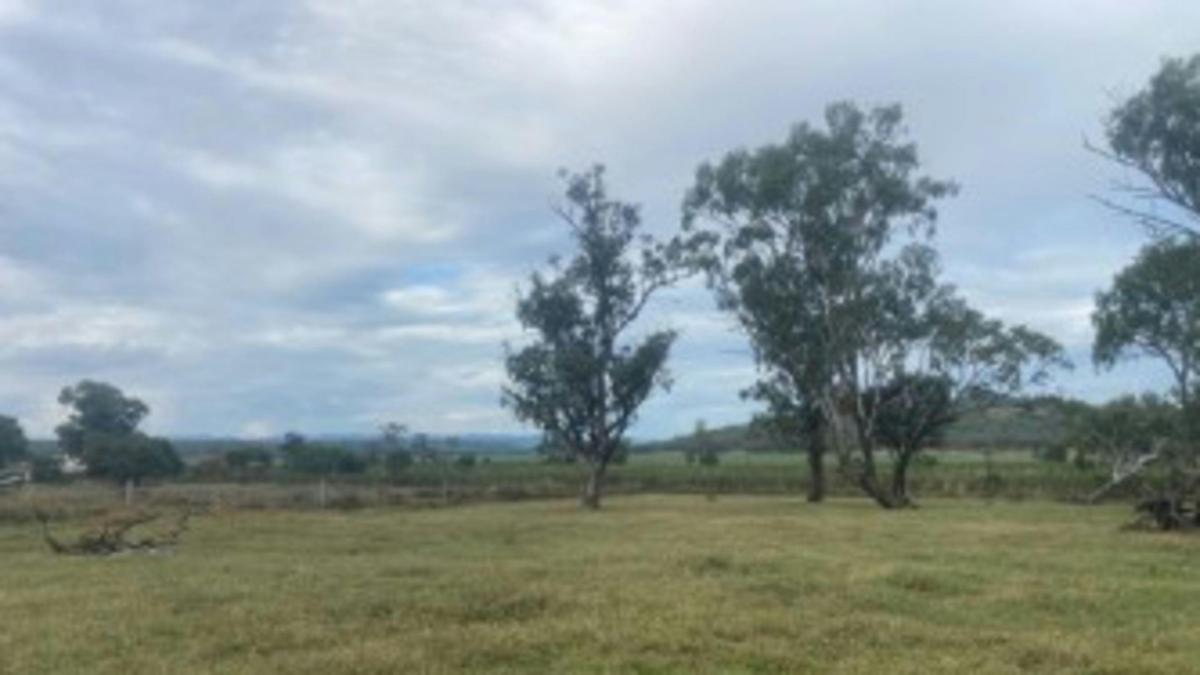 Bunya Mountains View