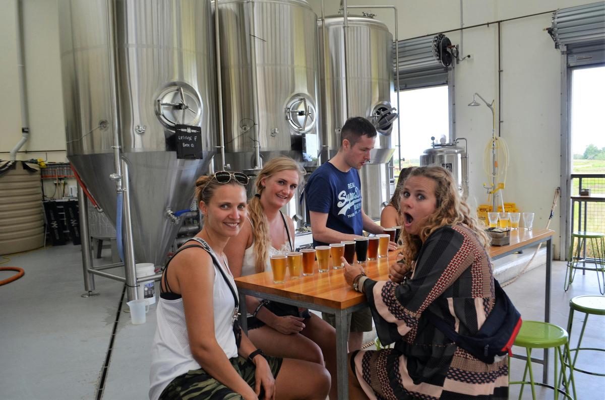 Craft beer tasting Macalister