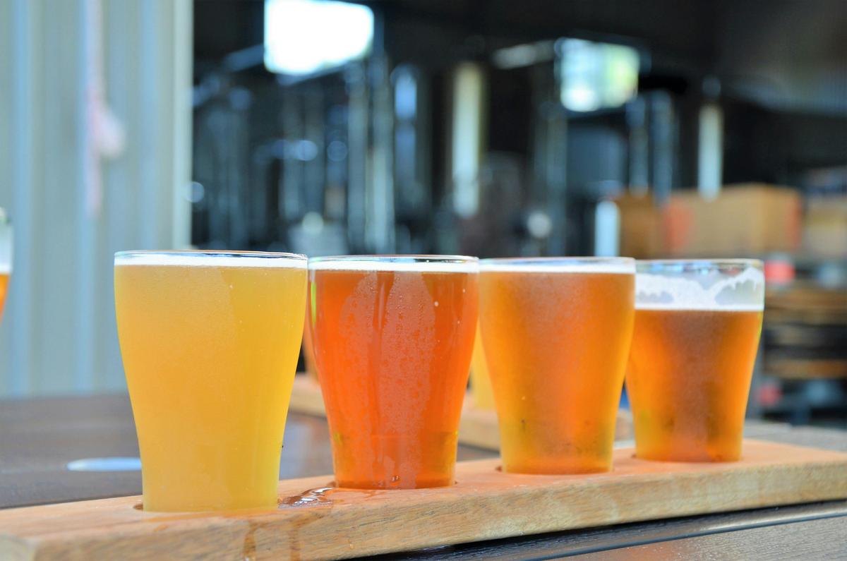 The Original Cairns Brewery & Distillery Tour