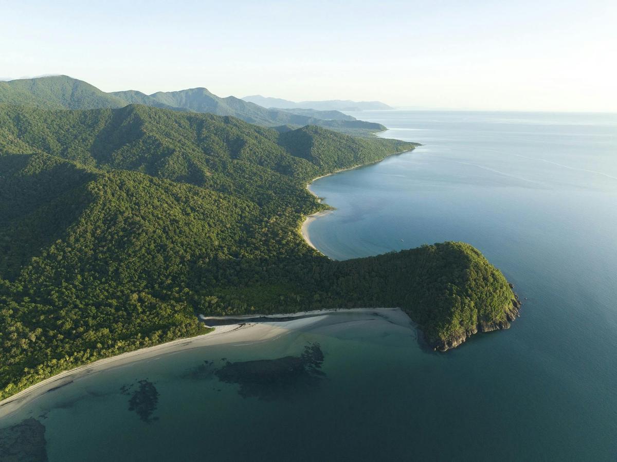 Cape Tribulation