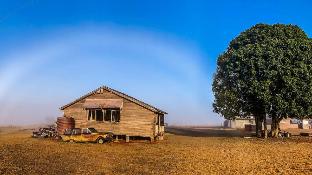 Bunya Red Farm