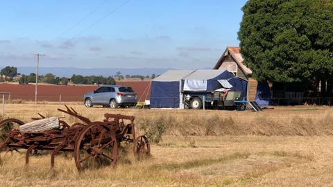 Bunya Red Farm